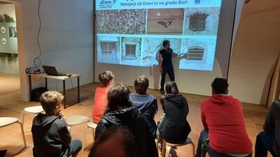 Ozaveščanje o pomenu naravne dediščine gradu Borl