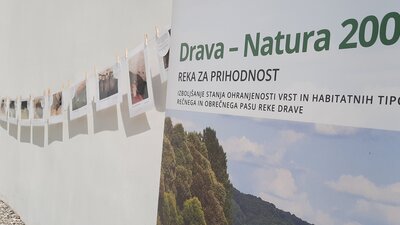 Ozaveščanje o pomenu naravne dediščine gradu Borl