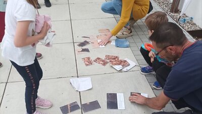 Ozaveščanje o pomenu naravne dediščine gradu Borl